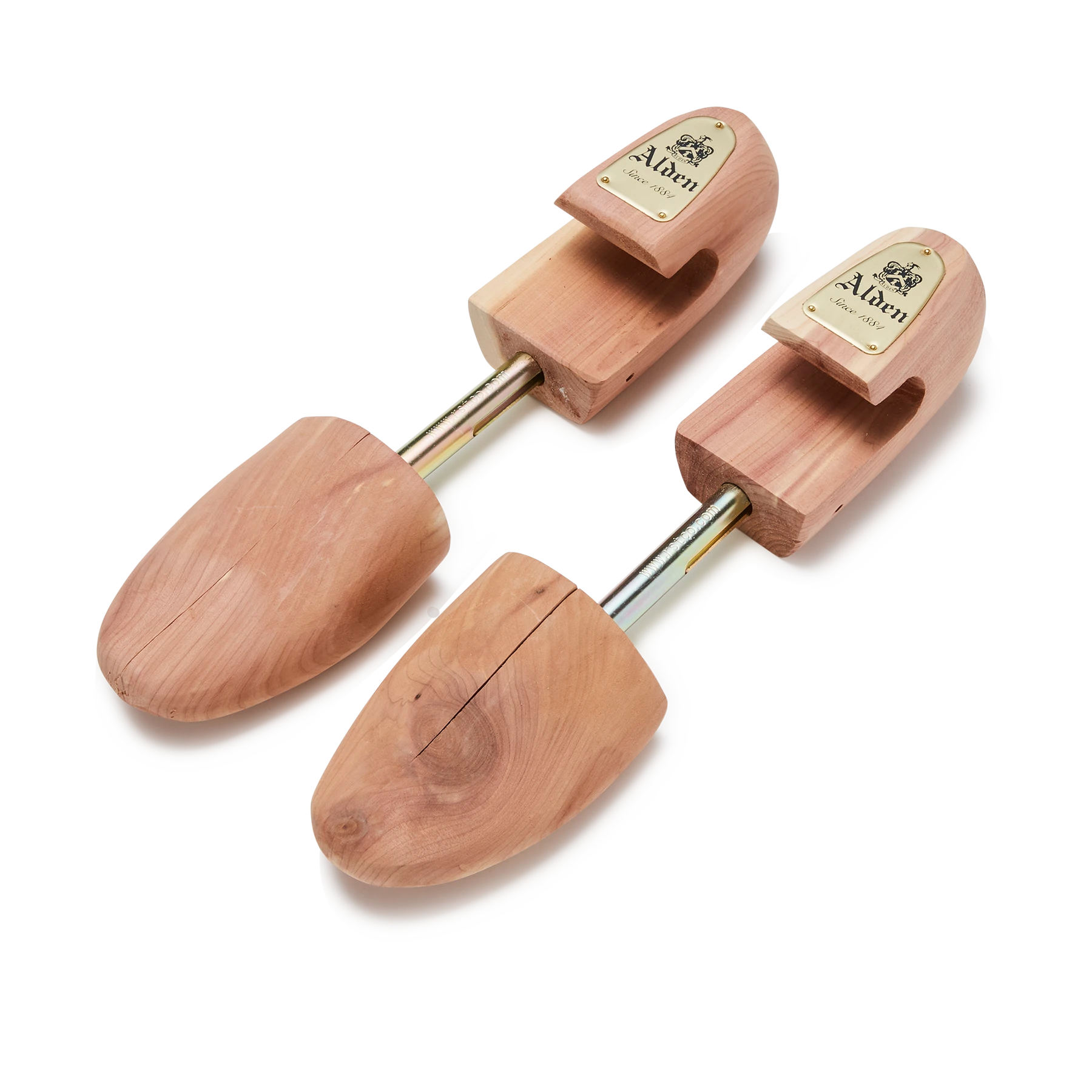 SHOE TREE – THE LAKOTA HOUSE SHOE TREE – THE LAKOTA HOUSE