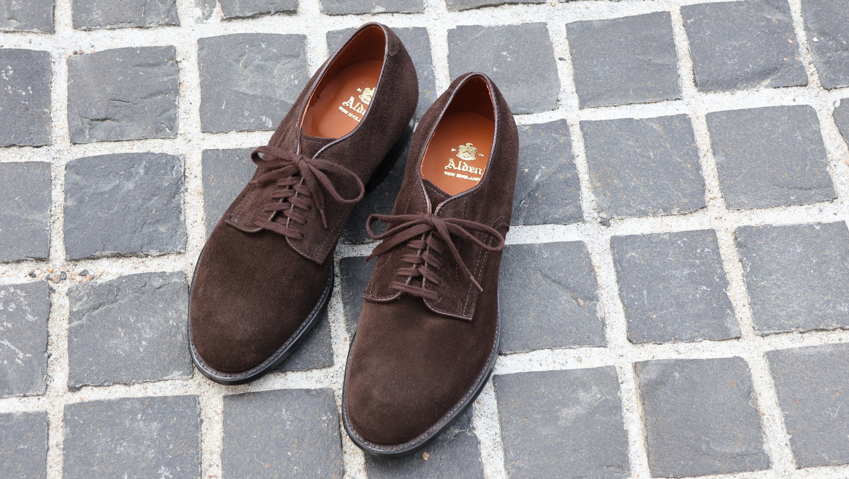 ALDEN 53530<br> 6-EYELET PLAIN TOE OX.<br>D.CHOCO SUEDE